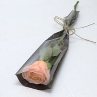 040 - صورة 1