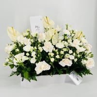 9650-549 - صورة 2