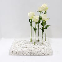2698 - صورة 1