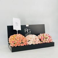5826-83 - صورة 2