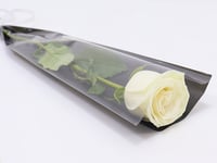 0039 - صورة 1
