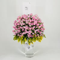 9930-710 - صورة 1