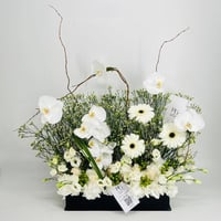 8873-599 - صورة 1