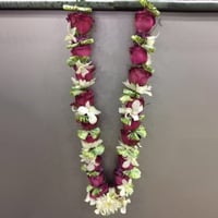 3164 - صورة 1