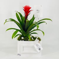 12433 - Image 1