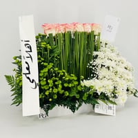 13610 - صورة 2