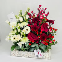 6559 - صورة 3