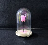 2104 - صورة 1