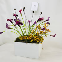 6521 - صورة 3