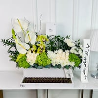 16911 - صورة 2