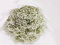 2467-10 - صورة 2