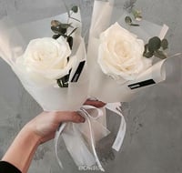 4726-120 - صورة 1