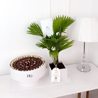 17759 - صورة 1