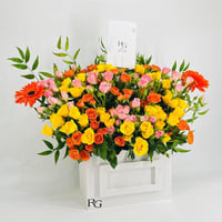 9699-426 - صورة 2