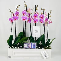 12474 - Image 1