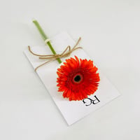 9827-797 - Image 1