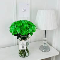 18309 - Image 1