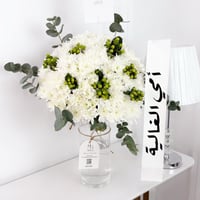 17380 - صورة 1
