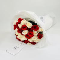 11067 - صورة 2