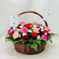 486 - صورة 1