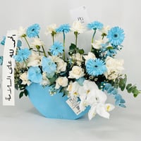 13485 - صورة 4
