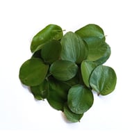 Sidr leaves  - Image 5