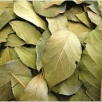 Sidr leaves  - Image 4