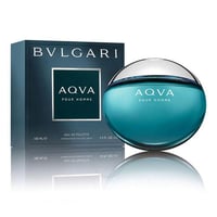 BVLGARI AQVA POUR HOMME EDT 100 ML - صورة 1