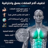 مسدس مساج احترافي لتخفيف آلام العضلات - صورة 3