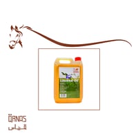 زيت لاينسيد - Linseed Oil(تقليل التهابات المفاصل) - صورة 1