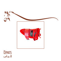لبادة ركوب مع ملحقاتها - صورة 1