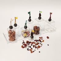SBJ LONG PLEXI TRAY W/ 7 SMALL BOXES (ATTACHED) - صورة 7