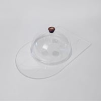 Plexi Platter Medium - صورة 1