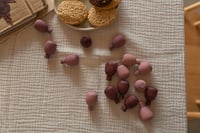 الأناناس - صورة 3