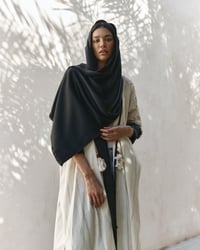 ديون 01 - صورة 3