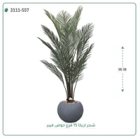 شجرة أريكا صناعية ( ارتفاع 185 سم ) حوض فيبر - صورة 6