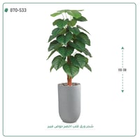 شجرة ورق قلب صناعية ( ارتفاع 135 سم ) حوض بلاستيك - صورة 2