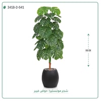 شجرة ورق قلب صناعية ( ارتفاع 160 سم ) حوض فيبر - صورة 4