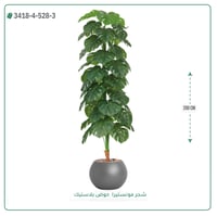 شجرة مونستيرا صناعية ( ارتفاع 200 سم ) حوض بلاستيك - صورة 12