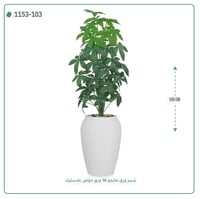 شجر مانجو صناعية ( ارتفاع 155 سم ) حوض بلاستك - صورة 2