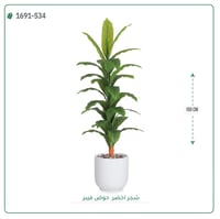 شجرة ورق أخضر وسط بمركن فيبر اسطوانى - صورة 2
