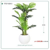 نخل أريكا صغير (3 فروع) بمركن بلاستيك دائرى - صورة 7