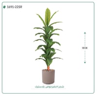 شجرة ورق أخضر وسط بمركن بلاستيك أسطواني - صورة 2