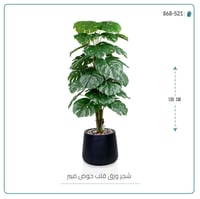 شجرة ورق قلب (ألوكاسيا) الاصطناعية بمركن فيبر بيضاوى - صورة 5