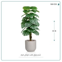 شجرة ورق قلب (ألوكاسيا) الاصطناعية بمركن فيبر أسطواني - صورة 2