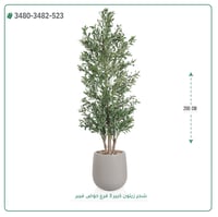 شجرة زيتون صناعية ( ارتفاع 200 سم ) حوض فيبر - صورة 7
