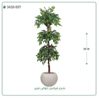 شجر فيكس صناعية ( ارتفاع 200 سم ) حوض فيبر - صورة 9