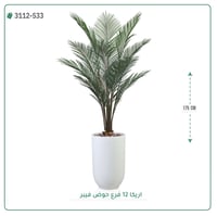 شجر أريكا صناعية ( ارتفاع 175 سم ) حوض فيبر - صورة 5