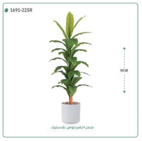 شجرة ورق أخضر وسط بمركن بلاستيك أسطواني - صورة 1