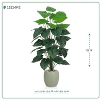 شجر مانجو صناعية ( ارتفاع 120 سم ) حوض فيبر - صورة 1